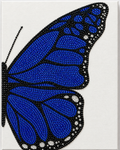 Blue butterfly