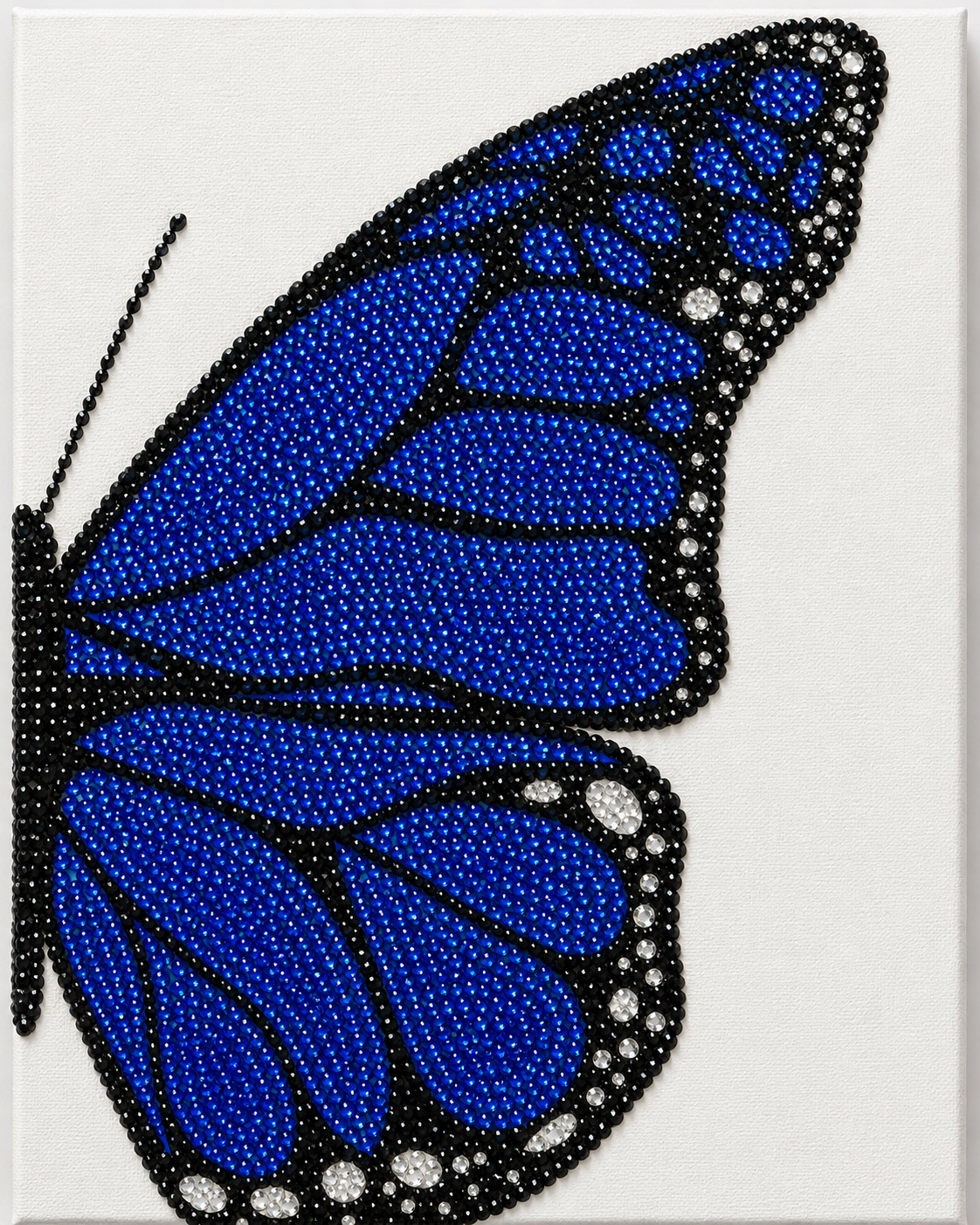 Blue butterfly
