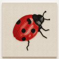 Ladybug
