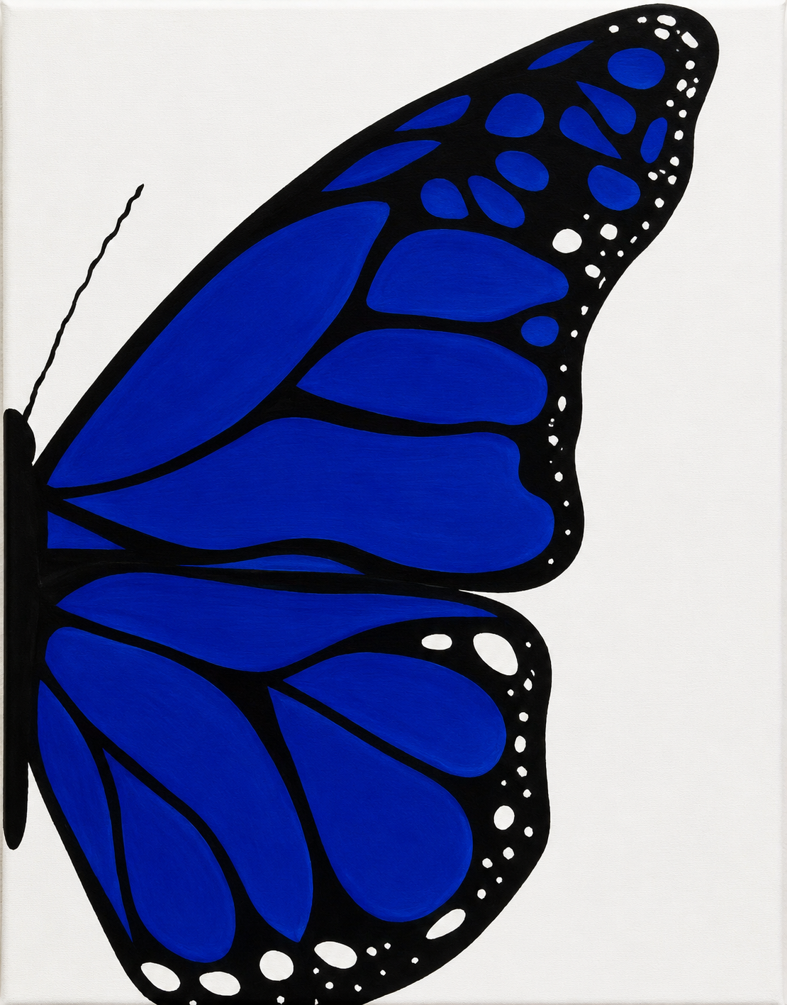 Blue butterfly