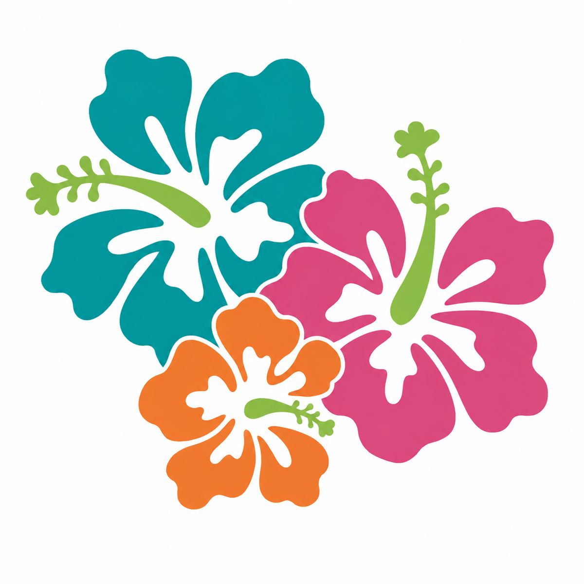 Colorful Flowers